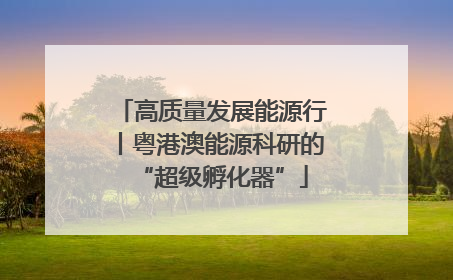 高质量发展能源行丨粤港澳能源科研的“超级孵化器”