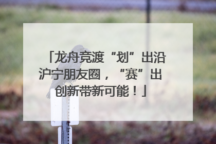 龙舟竞渡“划”出沿沪宁朋友圈，“赛”出创新带新可能！