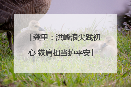 龚里：洪峰浪尖践初心 铁肩担当护平安
