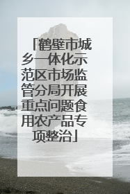 鹤壁市城乡一体化示范区市场监管分局开展重点问题食用农产品专项整治