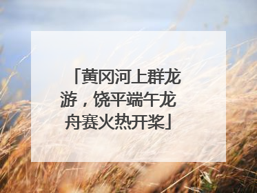 黄冈河上群龙游，饶平端午龙舟赛火热开桨