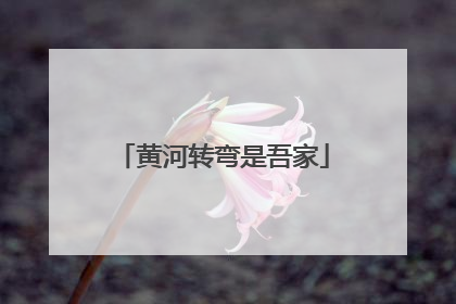 黄河转弯是吾家