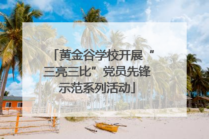 黄金谷学校开展“三亮三比”党员先锋示范系列活动