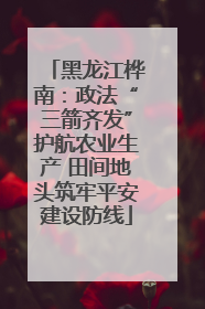 黑龙江桦南：政法“三箭齐发”护航农业生产 田间地头筑牢平安建设防线