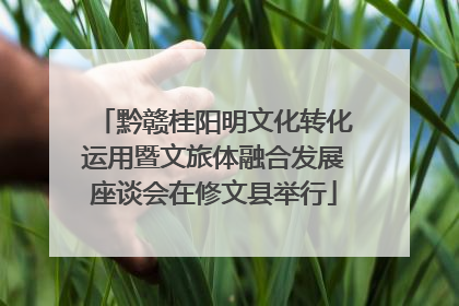黔赣桂阳明文化转化运用暨文旅体融合发展座谈会在修文县举行