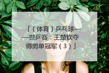 （体育）乒乓球——世乒赛：王楚钦夺得男单冠军（3）