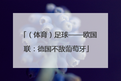（体育）足球——欧国联：德国不敌葡萄牙