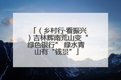 （乡村行·看振兴）吉林辉南荒山变“绿色银行” 绿水青山有“钱景”