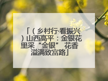 （乡村行·看振兴）山西高平：金银花里采“金银” 花香溢满致富路