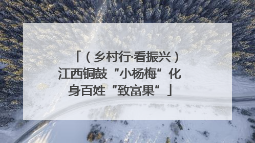 （乡村行·看振兴）江西铜鼓“小杨梅”化身百姓“致富果”
