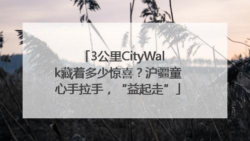 3公里CityWalk藏着多少惊喜？沪疆童心手拉手，“益起走”