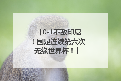 0-1不敌印尼！国足连续第六次无缘世界杯！