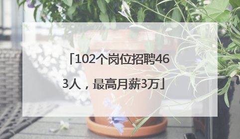 102个岗位招聘463人，最高月薪3万