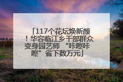 117个花坛焕新颜！华容临江乡干部群众变身园艺师 “咔嚓咔嚓”省下数万元