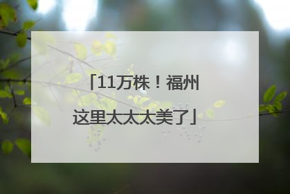 11万株！福州这里太太太美了