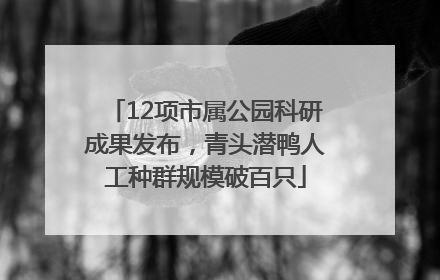 12项市属公园科研成果发布，青头潜鸭人工种群规模破百只
