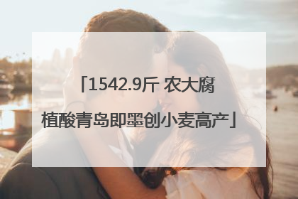 1542.9斤 农大腐植酸青岛即墨创小麦高产