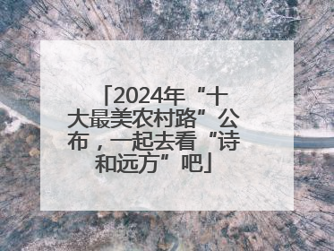 2024年“十大最美农村路”公布，一起去看“诗和远方”吧