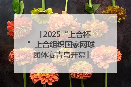 2025“上合杯”上合组织国家网球团体赛青岛开幕