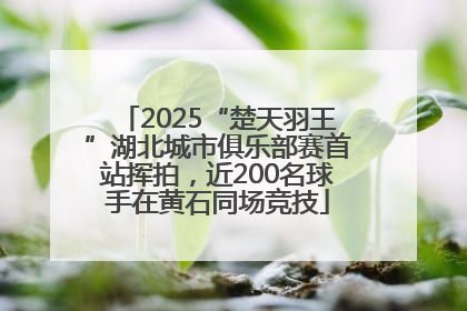 2025“楚天羽王”湖北城市俱乐部赛首站挥拍，近200名球手在黄石同场竞技