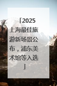 2025上海最佳旅游新场景公布，浦东美术馆等入选