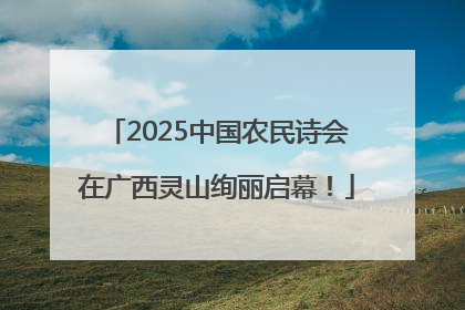 2025中国农民诗会在广西灵山绚丽启幕！