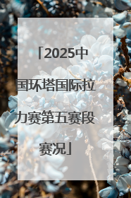 2025中国环塔国际拉力赛第五赛段赛况