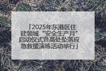 2025年东港区住建领域“安全生产月”启动仪式暨高处坠落应急救援演练活动举行