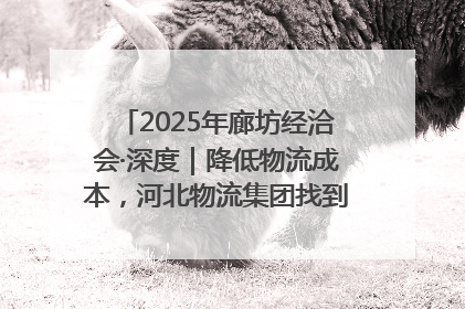 2025年廊坊经洽会·深度｜降低物流成本，河北物流集团找到一把“金钥匙”