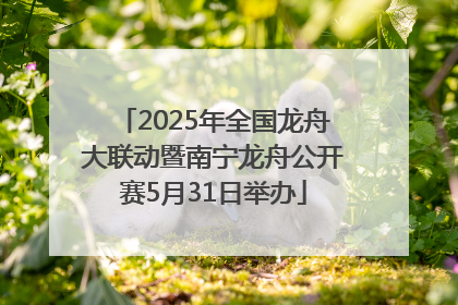 2025年全国龙舟大联动暨南宁龙舟公开赛5月31日举办