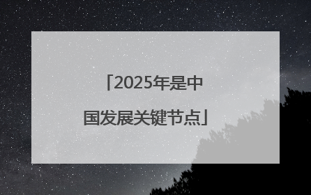 2025年是中国发展关键节点