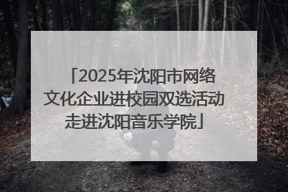 2025年沈阳市网络文化企业进校园双选活动走进沈阳音乐学院