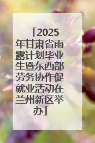 2025年甘肃省雨露计划毕业生暨东西部劳务协作促就业活动在兰州新区举办