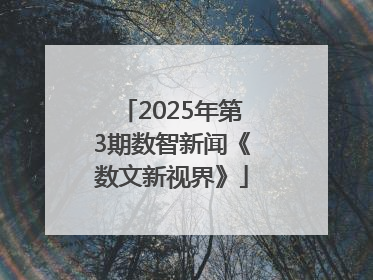 2025年第3期数智新闻《数文新视界》
