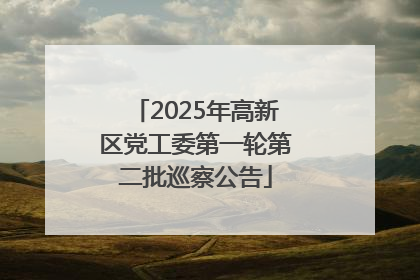 2025年高新区党工委第一轮第二批巡察公告