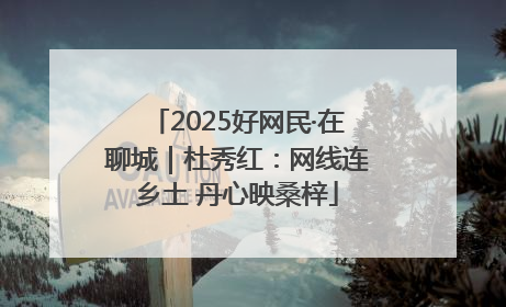 2025好网民·在聊城｜杜秀红：网线连乡土 丹心映桑梓