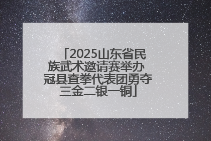 2025山东省民族武术邀请赛举办 冠县查拳代表团勇夺三金二银一铜