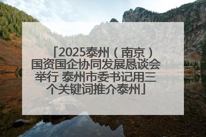 2025泰州（南京）国资国企协同发展恳谈会举行 泰州市委书记用三个关键词推介泰州
