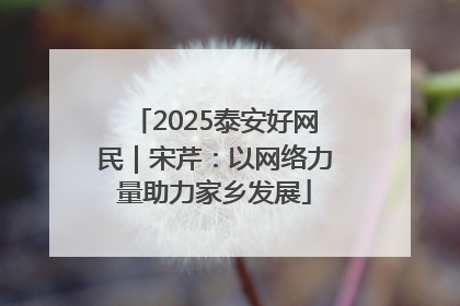 2025泰安好网民｜宋芹：以网络力量助力家乡发展
