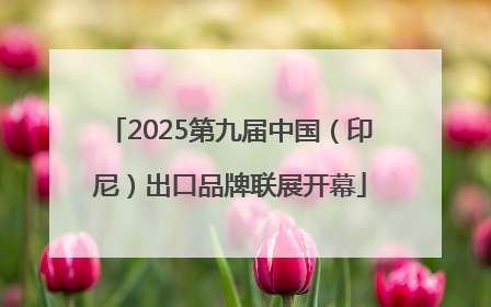 2025第九届中国（印尼）出口品牌联展开幕