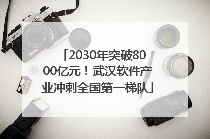 2030年突破8000亿元！武汉软件产业冲刺全国第一梯队