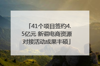 41个项目签约4.5亿元 新疆电商资源对接活动成果丰硕