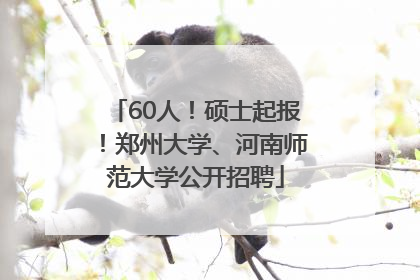 60人！硕士起报！郑州大学、河南师范大学公开招聘