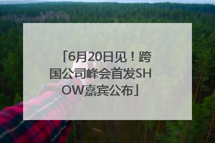 6月20日见！跨国公司峰会首发SHOW嘉宾公布