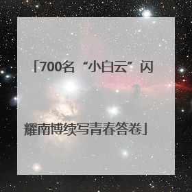700名“小白云”闪耀南博续写青春答卷