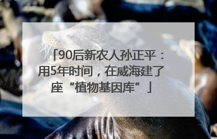 90后新农人孙正平：用5年时间，在威海建了座“植物基因库”