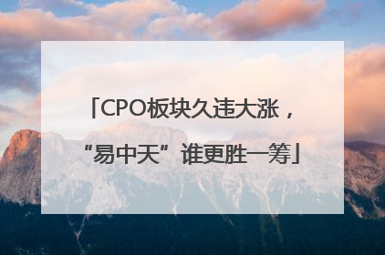 CPO板块久违大涨，“易中天”谁更胜一筹