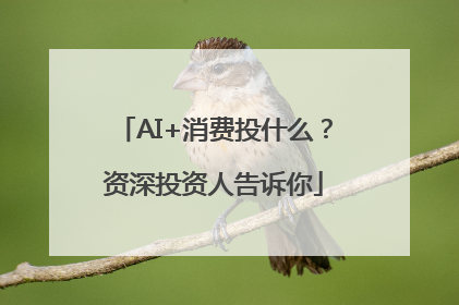 AI+消费投什么？资深投资人告诉你