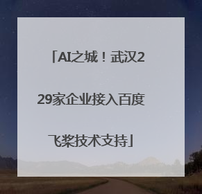 AI之城！武汉229家企业接入百度飞桨技术支持