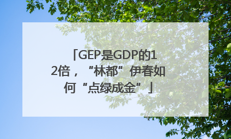 GEP是GDP的12倍，“林都”伊春如何“点绿成金”